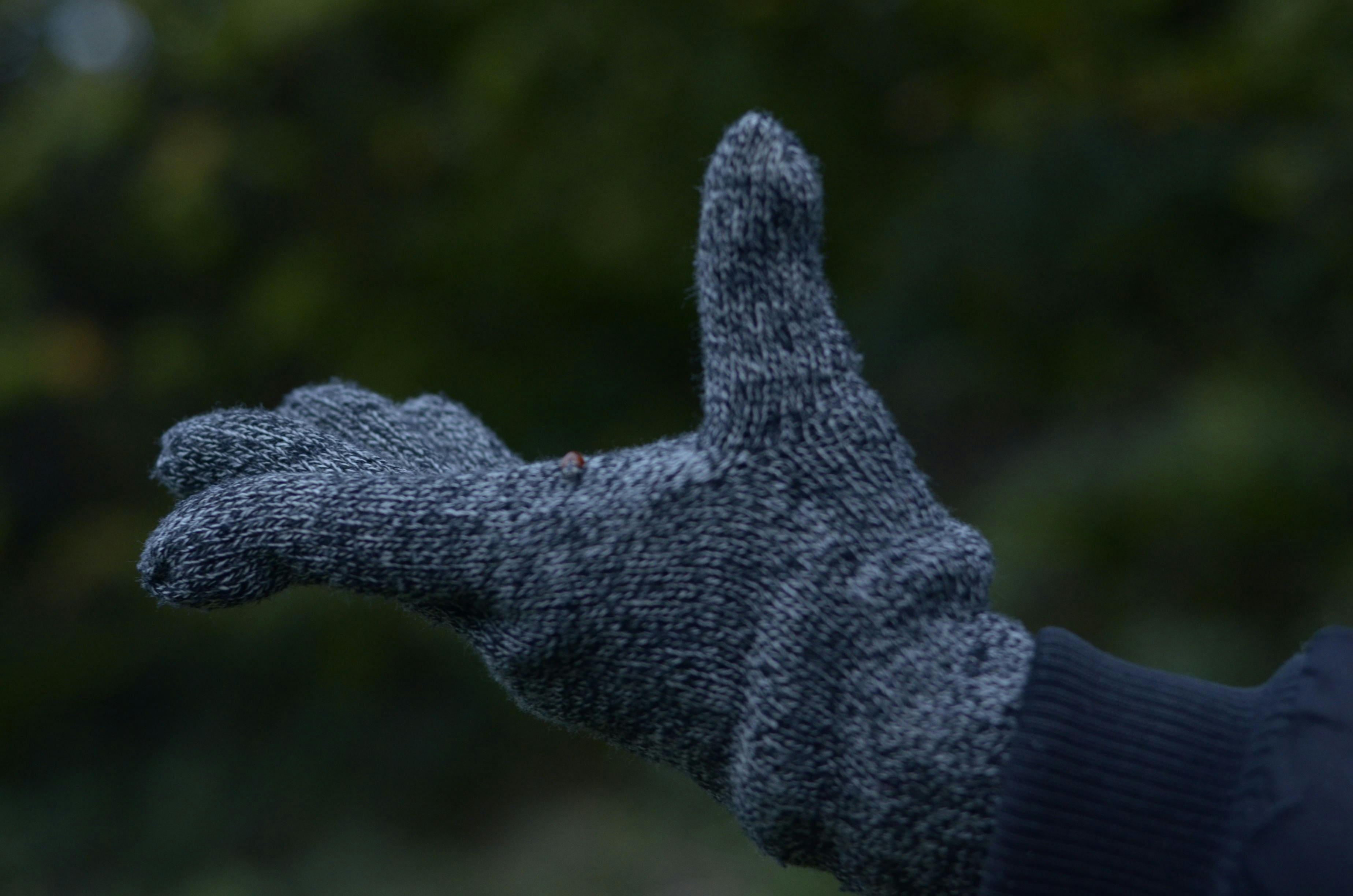Cozy Wool Blend Gloves