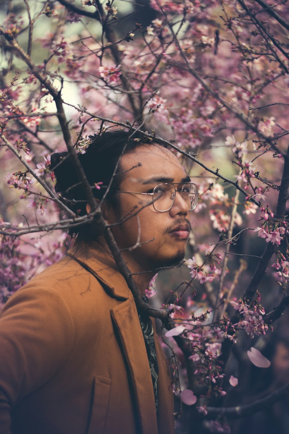 Fotografía de enfoque selectivo de hombre cerca de la flor de cerezo