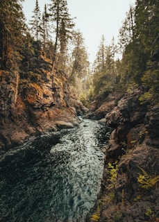 green river between trees and rock formations
