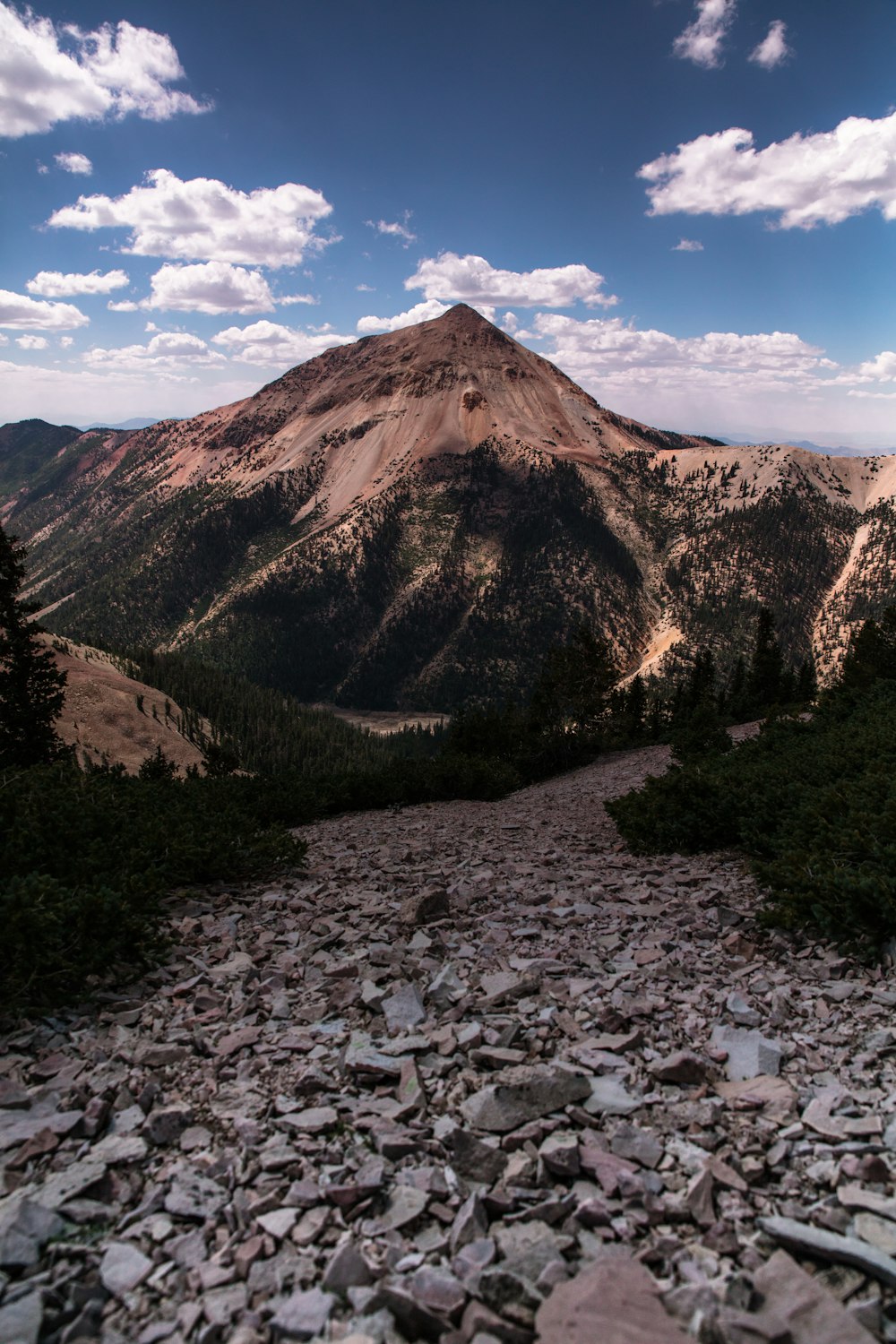 brown mountain