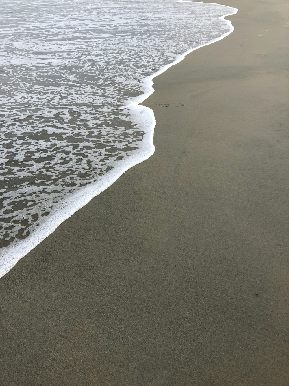 seashore and large body of water