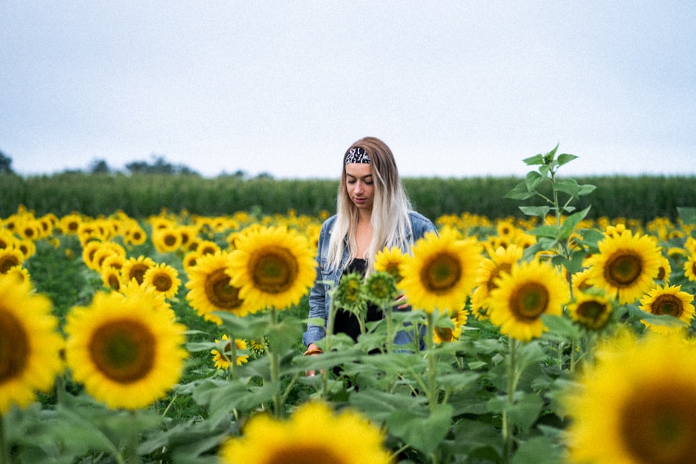 woman surrounded by sunflowers