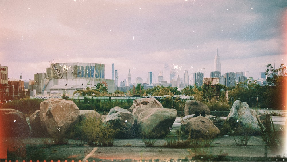 rocks on concrete lot during daytime