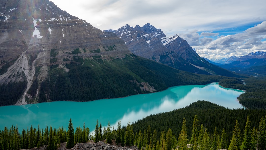 Glacial lake photo spot Peyto Lake Improvement District No. 12