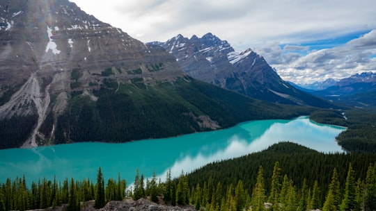 landscape photography of lake near mountain in Peyto Lake Canada