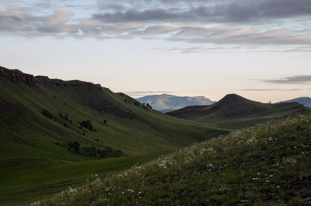 landscape photography of green grass field