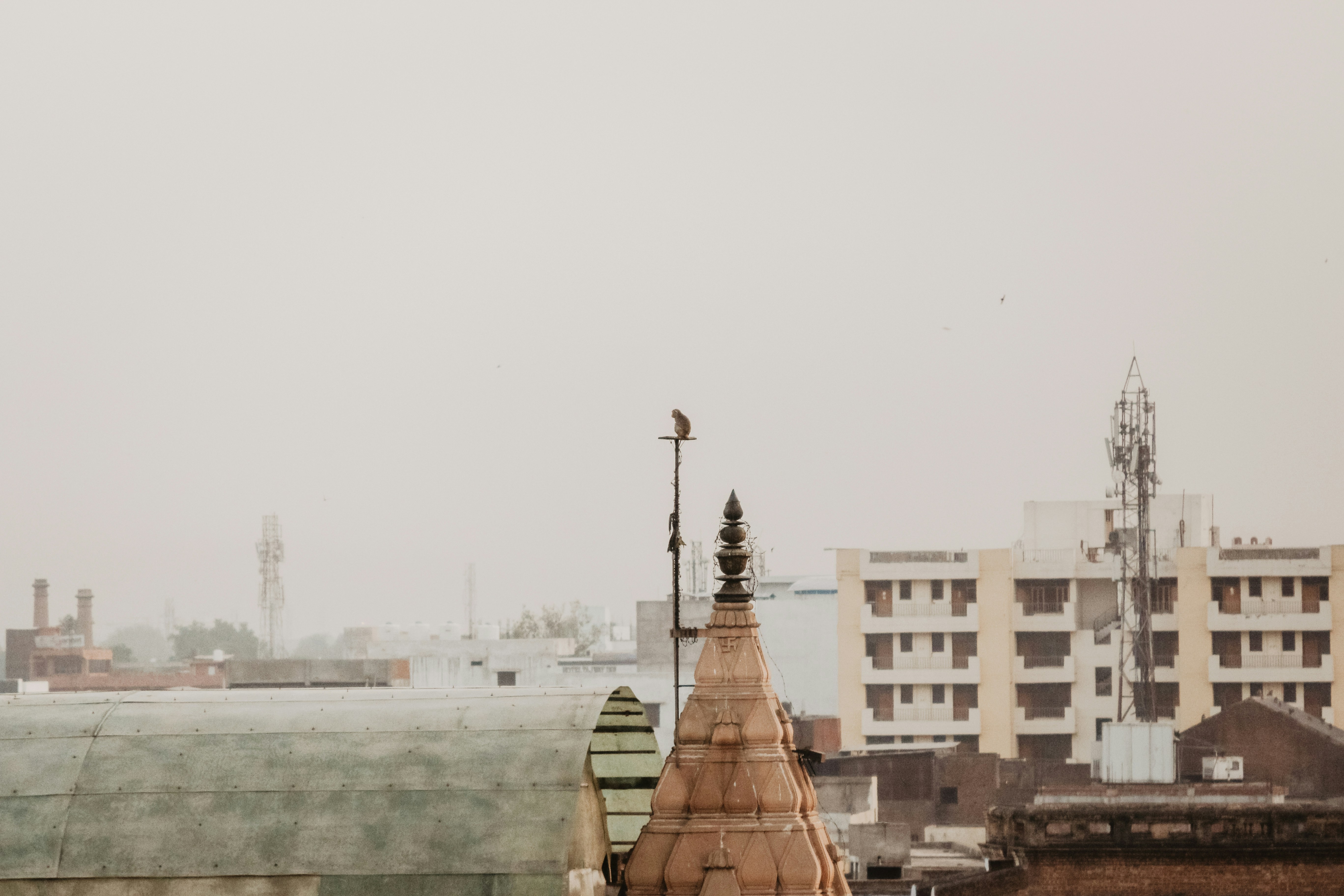 ���� ���� ������ �� ���� ������