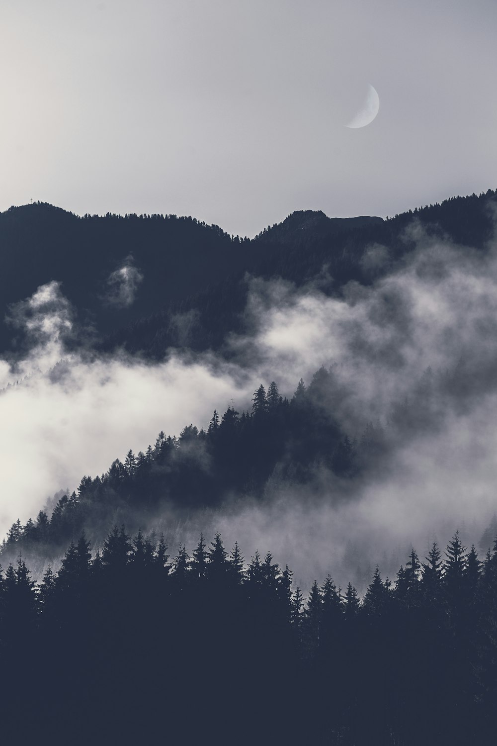 Foto de paisaje de montañas con niebla