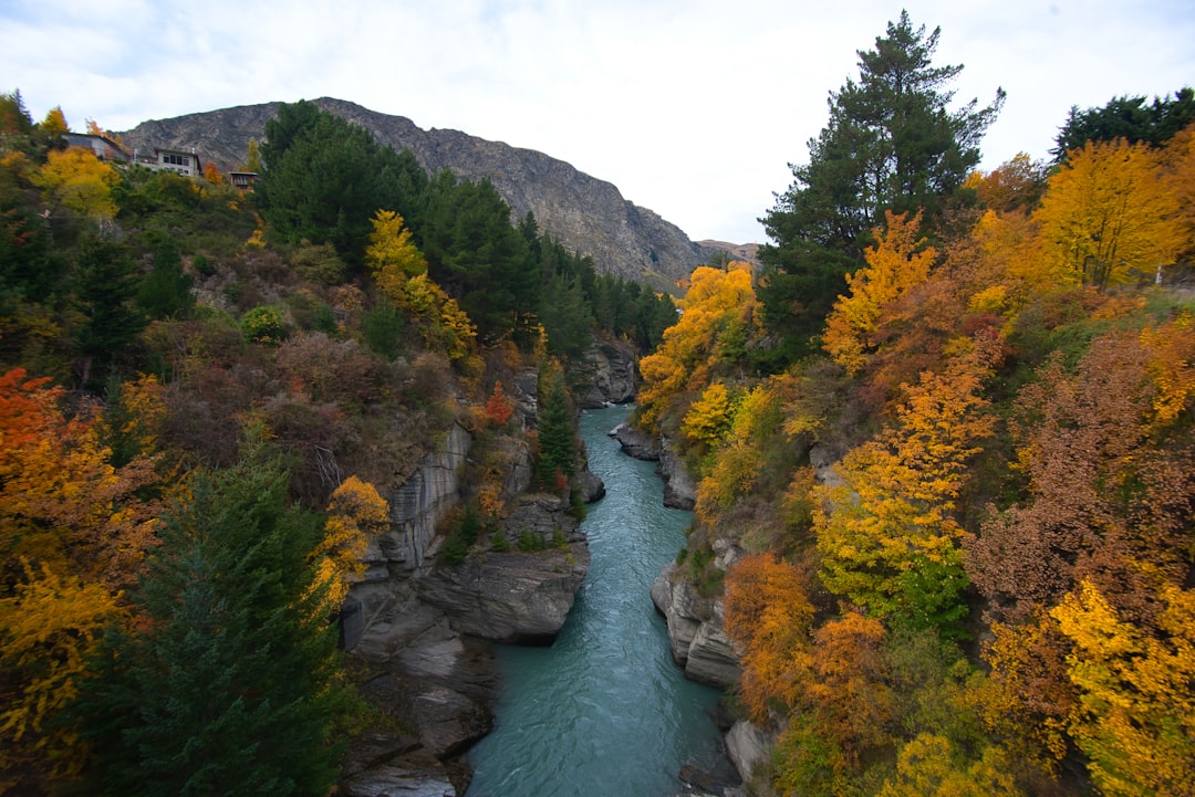 Nature reserve photo spot Arrowtown Otago