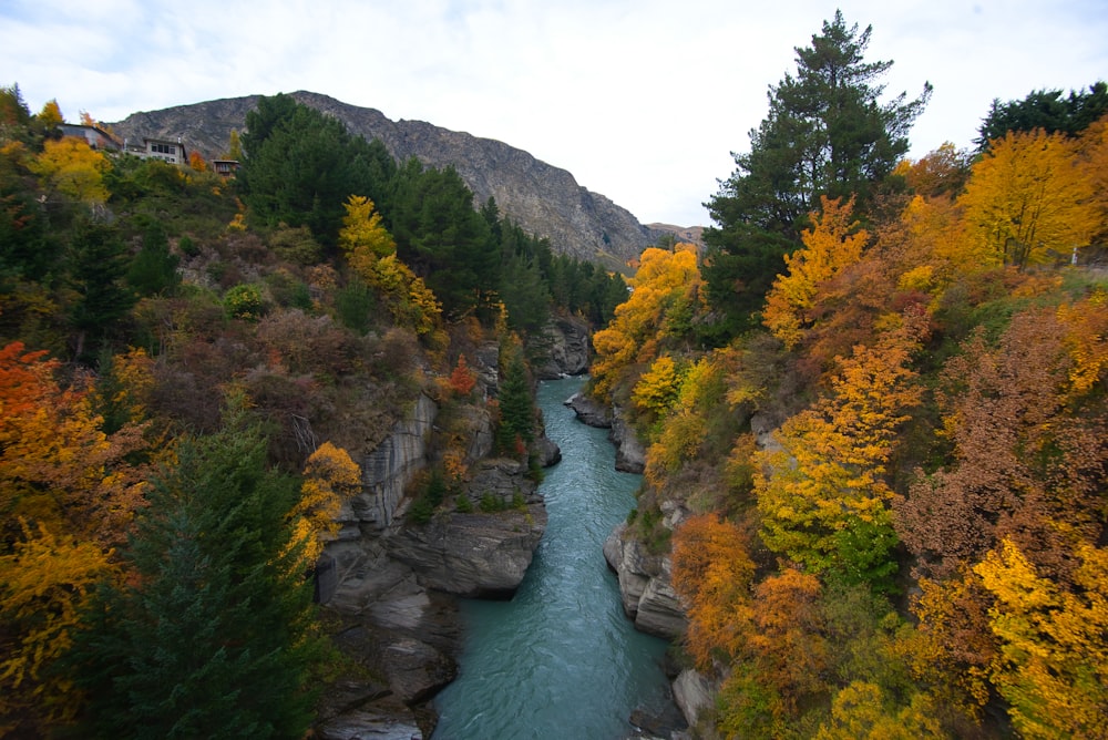 top view of river in middle of hills with trees