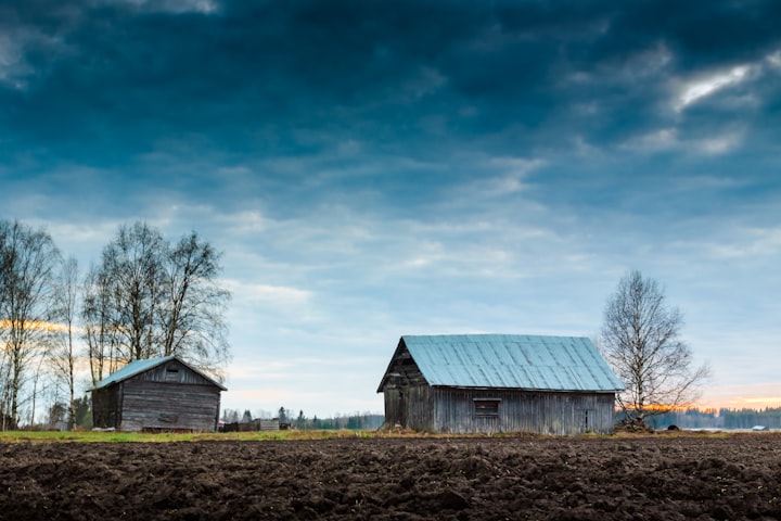 The Old Barn