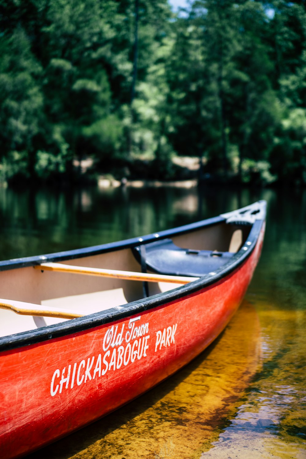 Kanuboot auf Gewässer in der Nähe von Bäumen