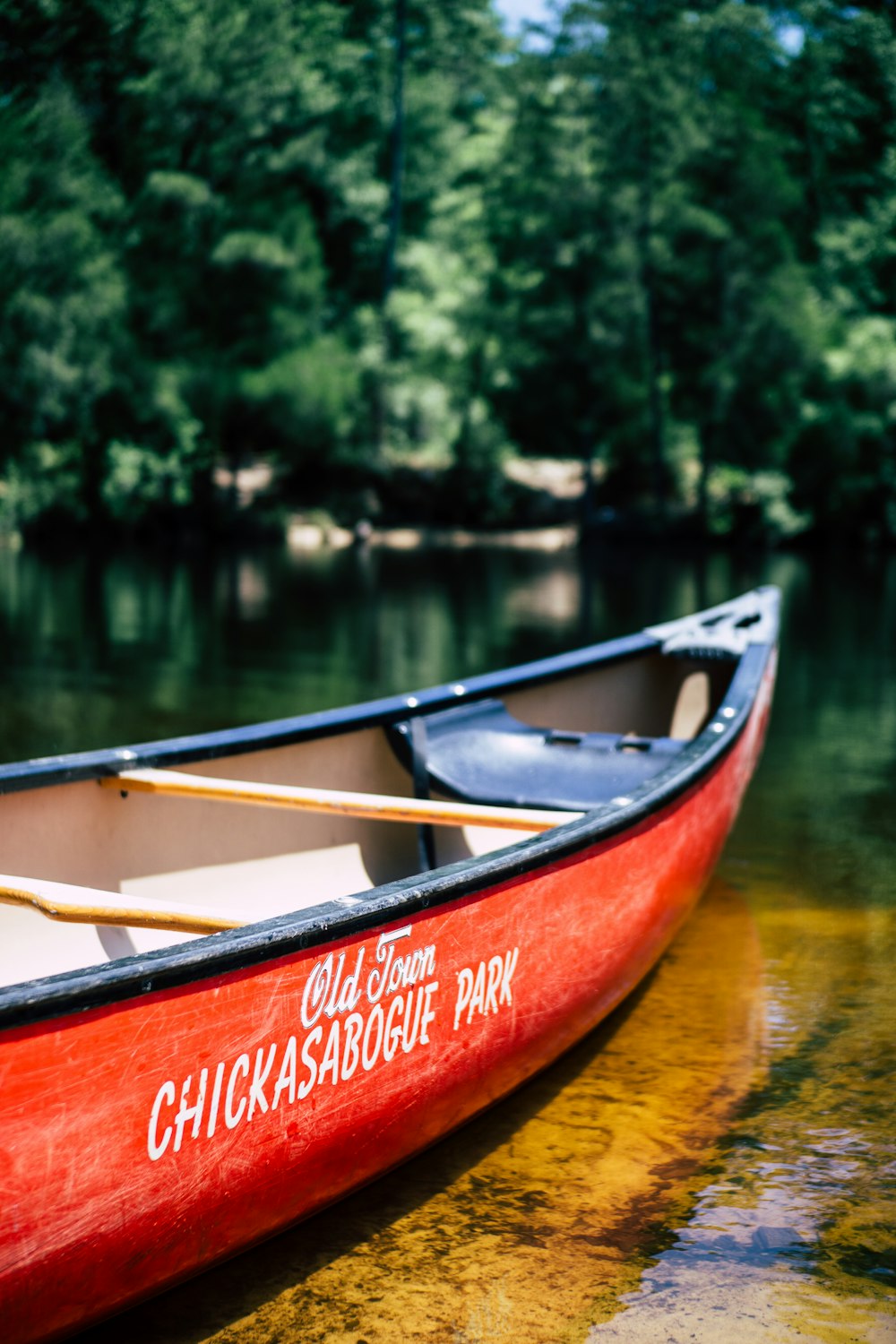 canoe boat on body of water near trees