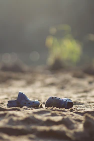 Artistic shot of sandals arranged with natural elements like dried leaves and soft shadows.