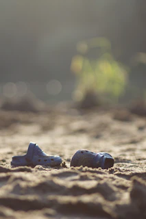 Artistic shot of sandals arranged with natural elements like dried leaves and soft shadows.