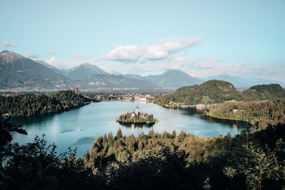 aerial view photography of lake surrounded by trees