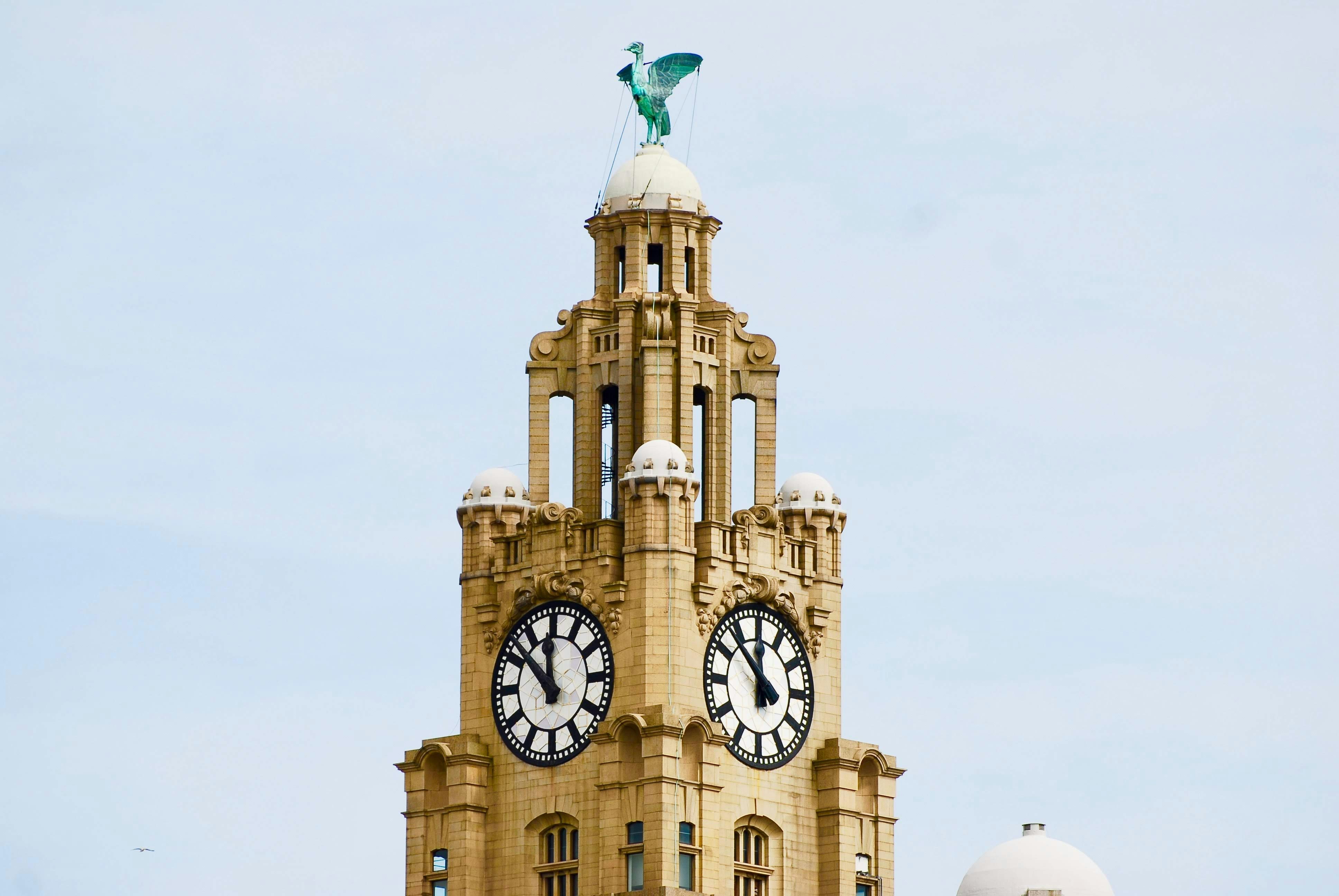 The female Liver Bird is said to look over the river Mersey looking out for sailors that are entering the port.