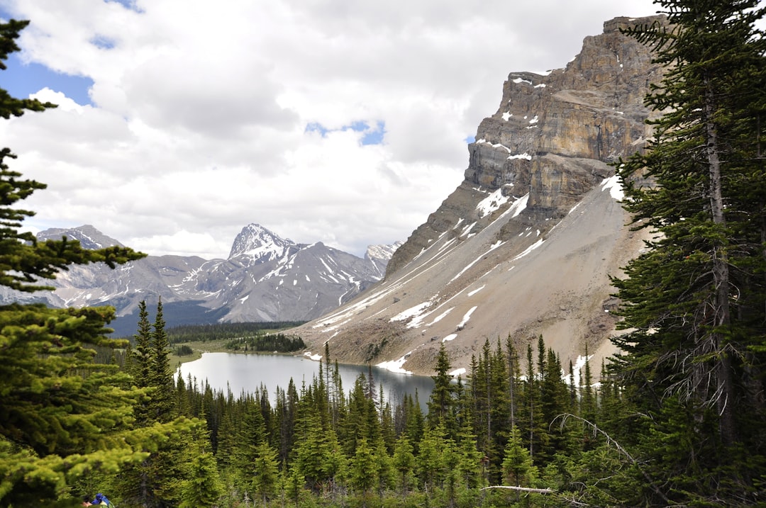 Nature reserve photo spot Banff National Park Lake Minnewanka Trail