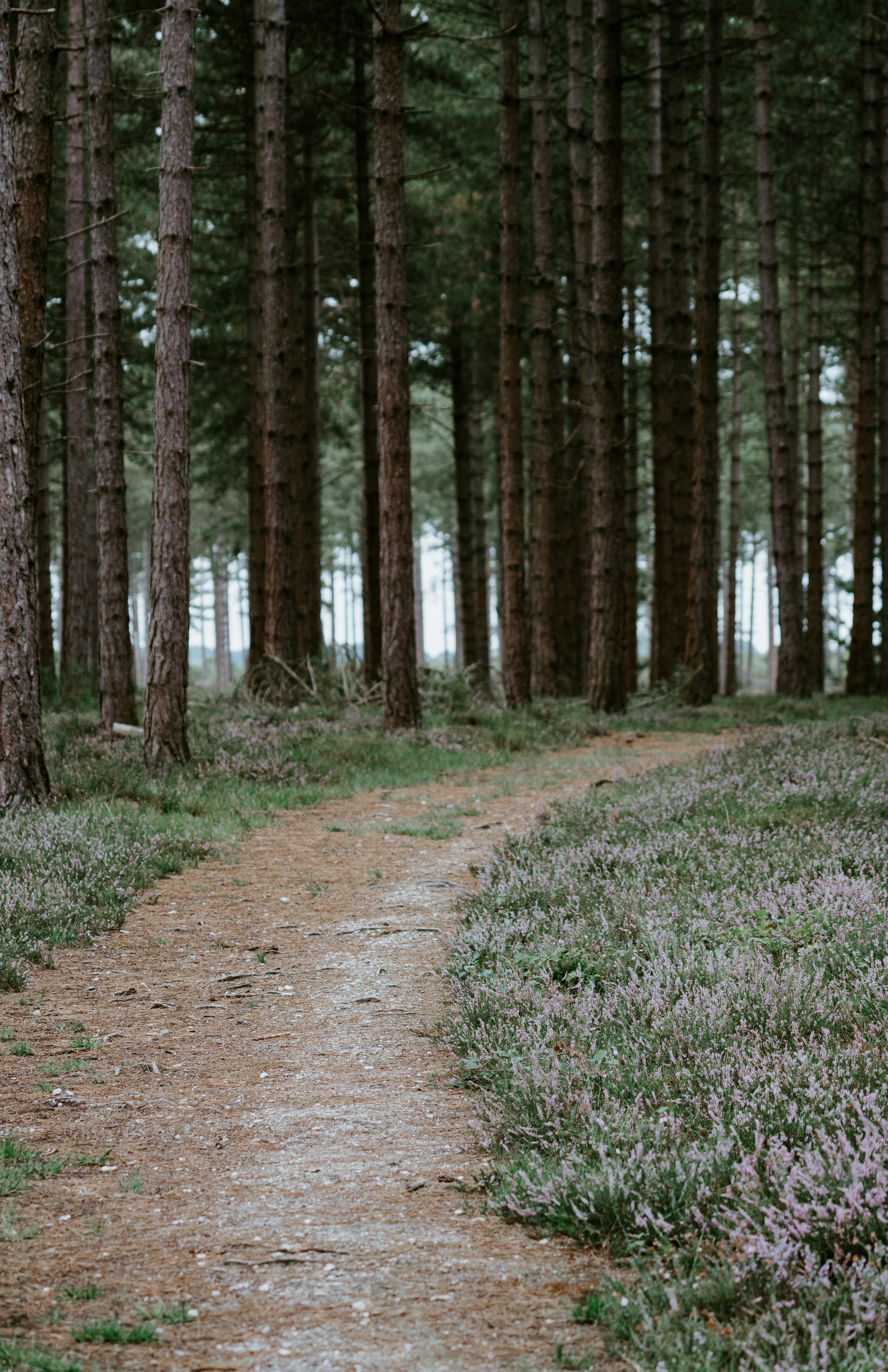 Photo by anniespratt