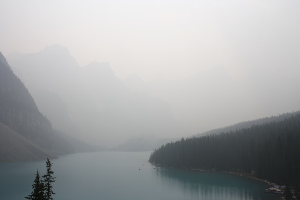 mountain covered with fogs