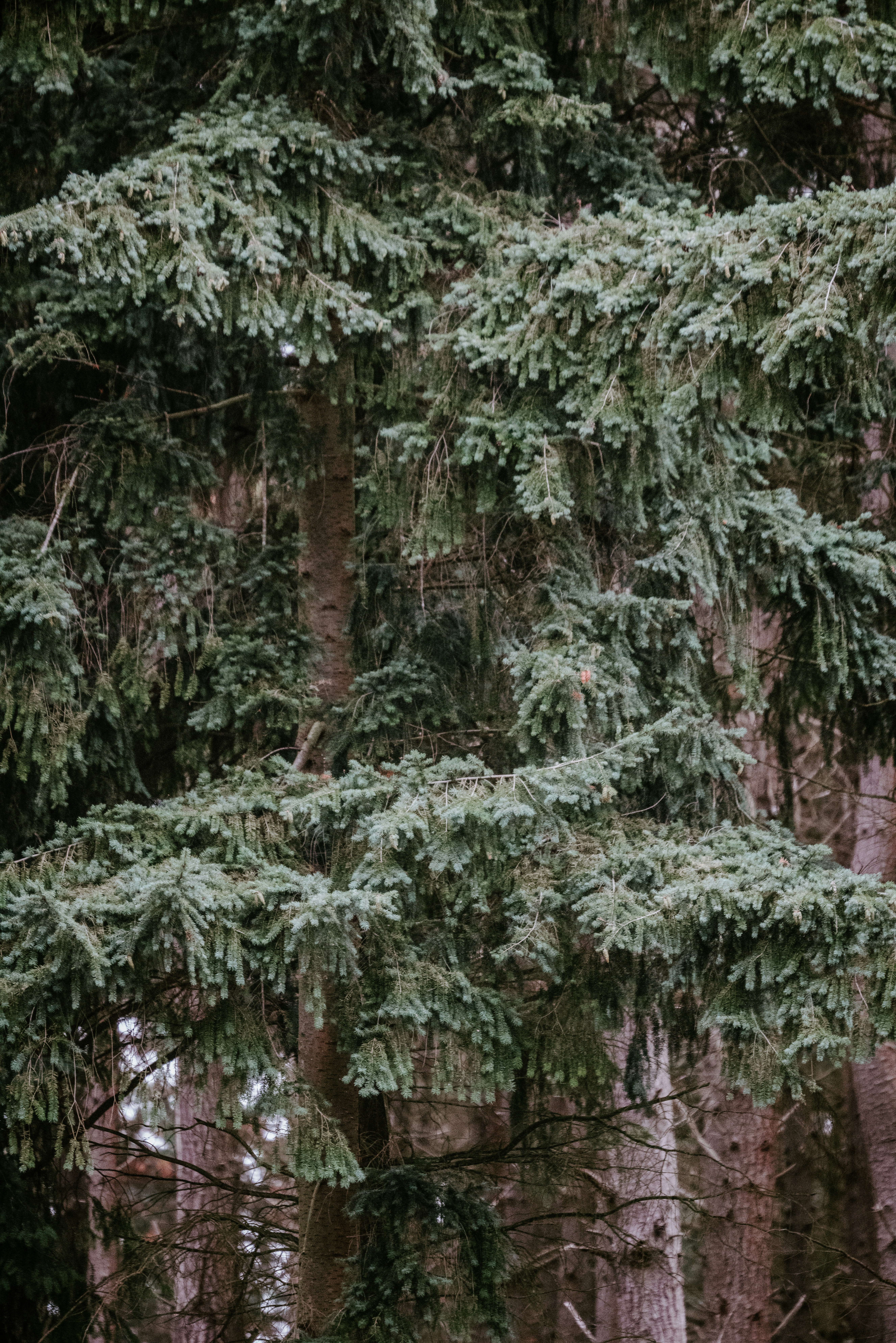 Photo by anniespratt