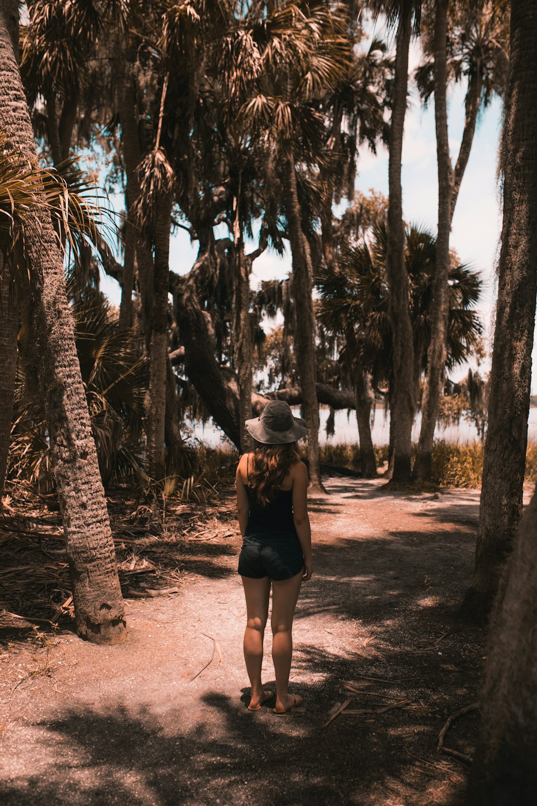 Forest photo spot Florida Orlando