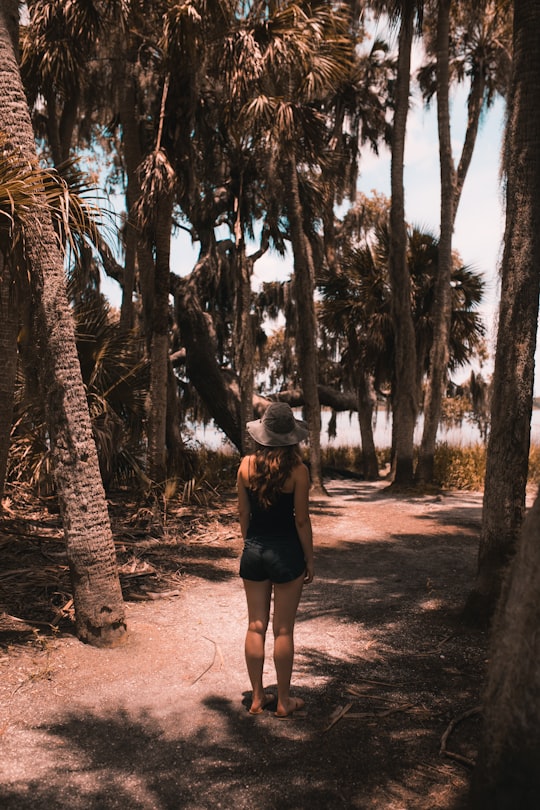 woman standing under palm trees near body of water in Florida United States