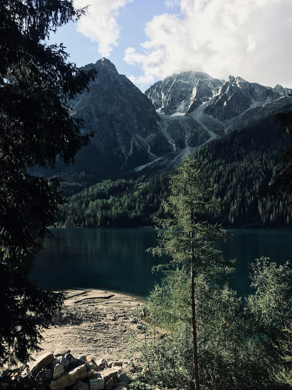 body of water and mountains surrounded by green leaf trees