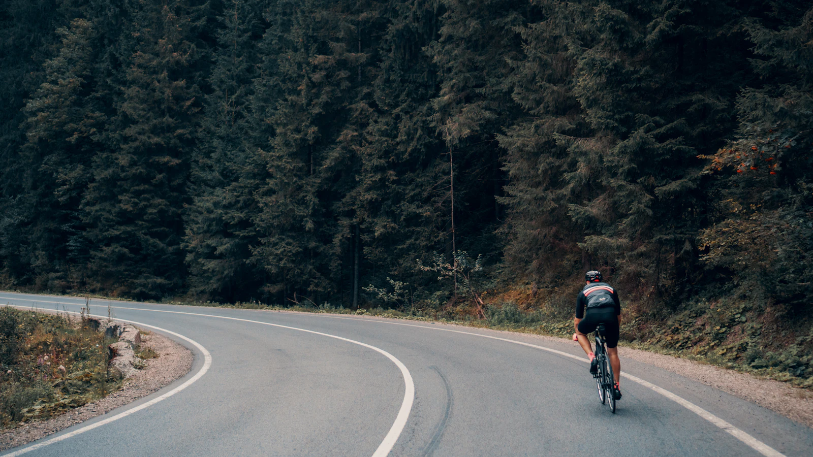 A cyclist riding a road bike on a winding asphalt road through a forest