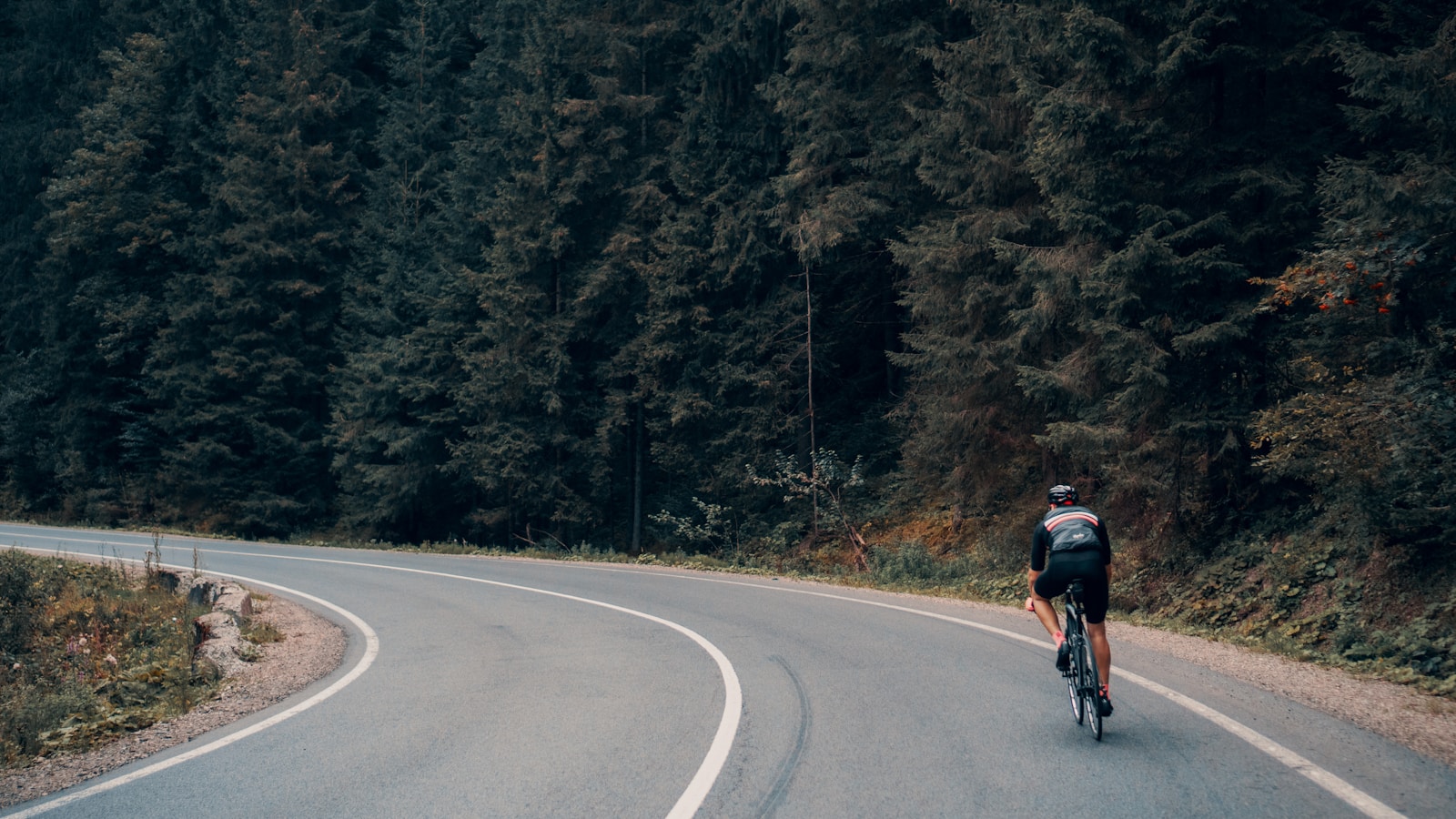 Cyclists riding through a Pacific Northwest road section near Seattle