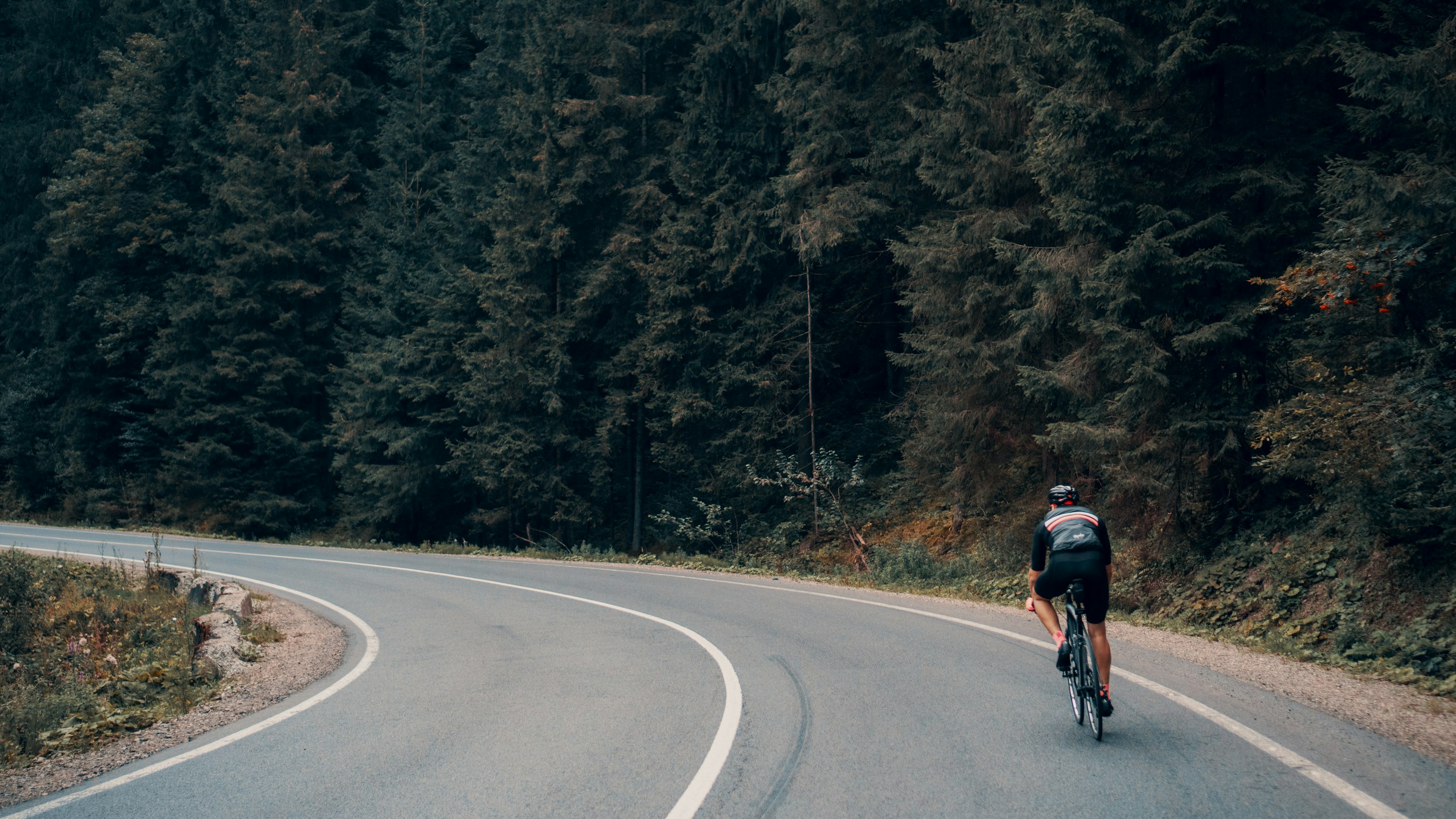 bicycle on a road in the pacific northwest