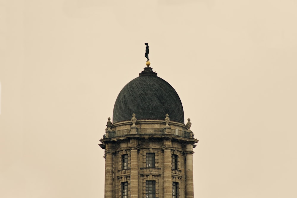 gray and green concrete building