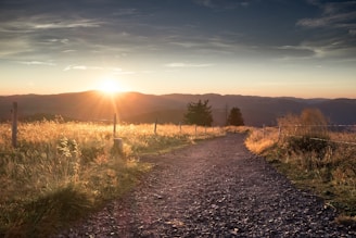 gray road with grass on side