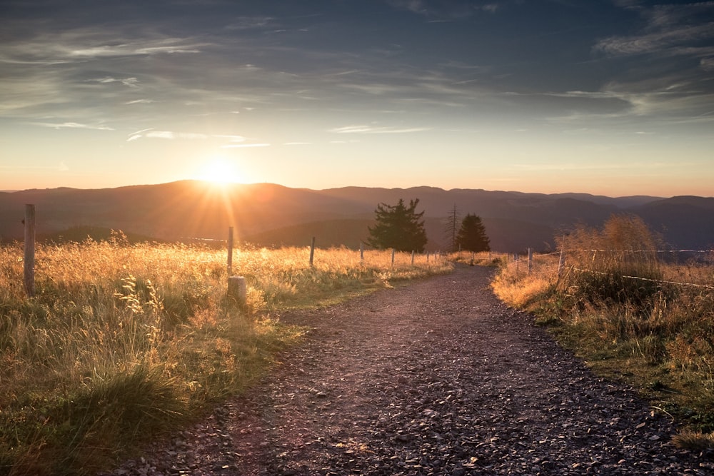 route grise avec de l’herbe sur le côté