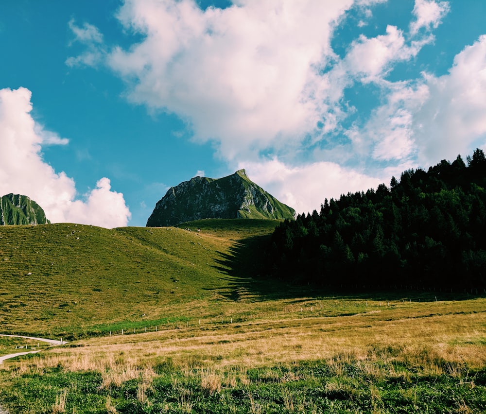 Montaña de hierba verde bajo el cielo azul durante el día