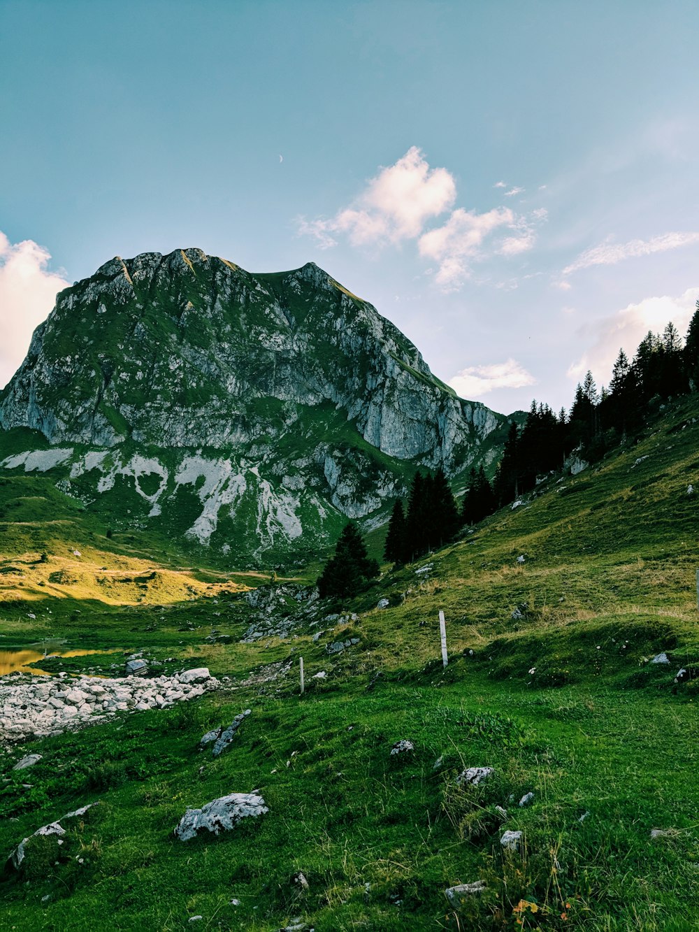 photographie de paysage de la montagne de la forêt verte