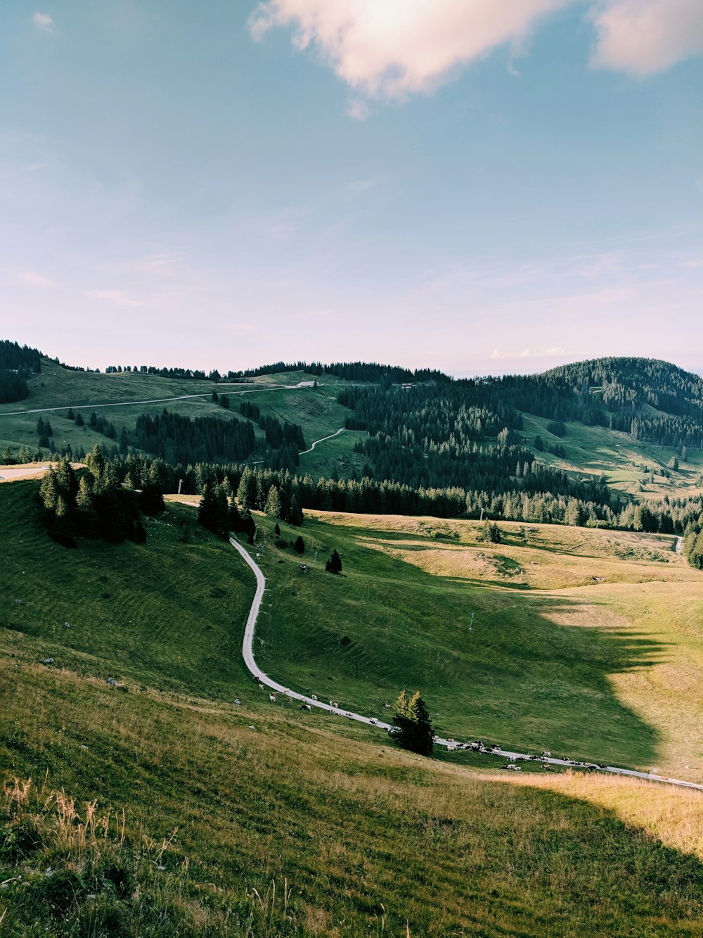 curved road in between grass field during day