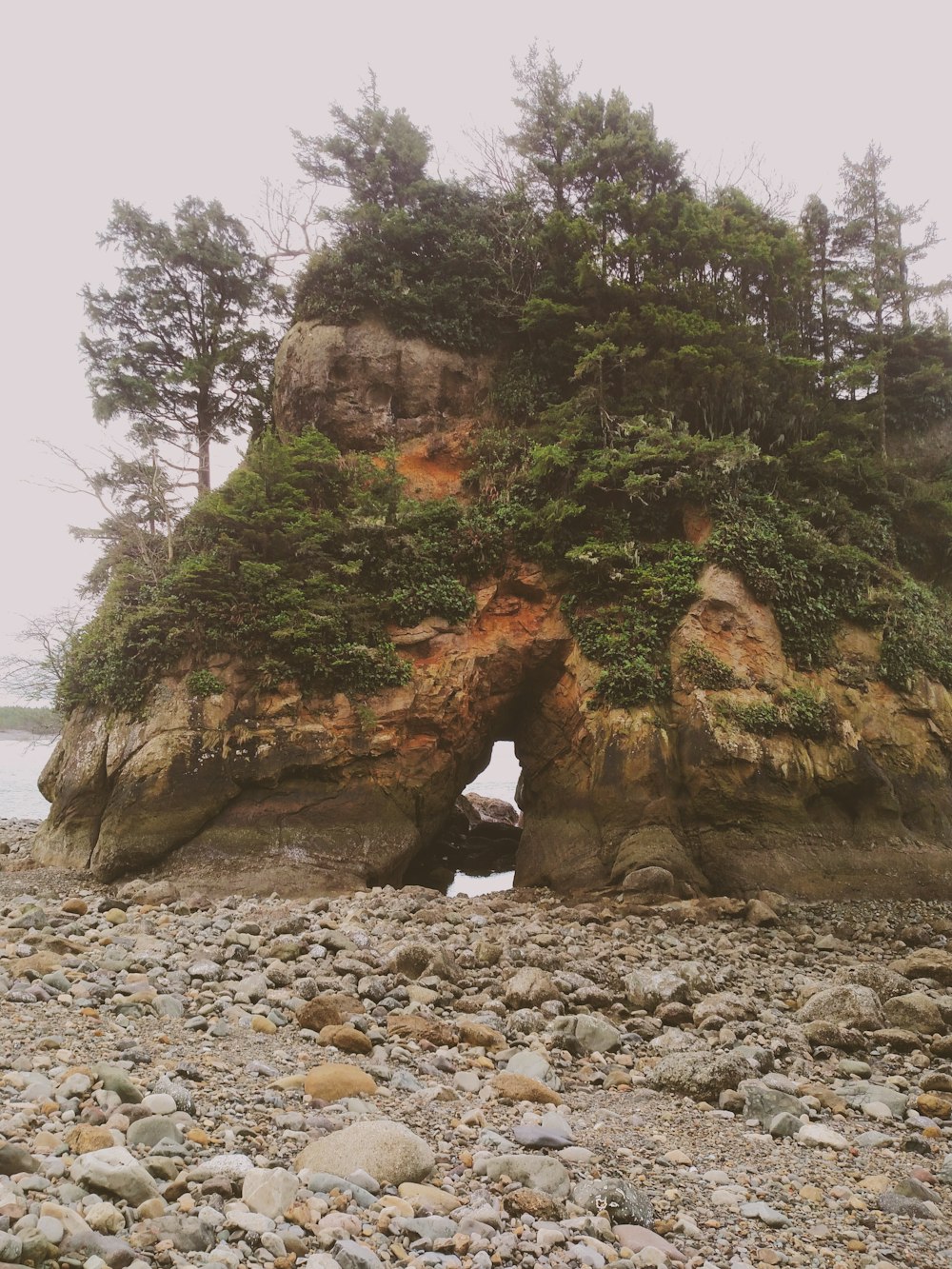 green trees on rock formation