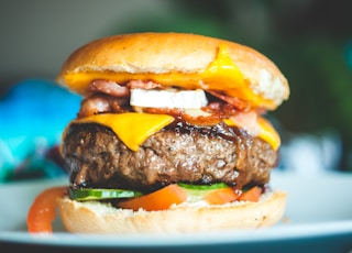 close-up photography of burger with patty and slice cheese