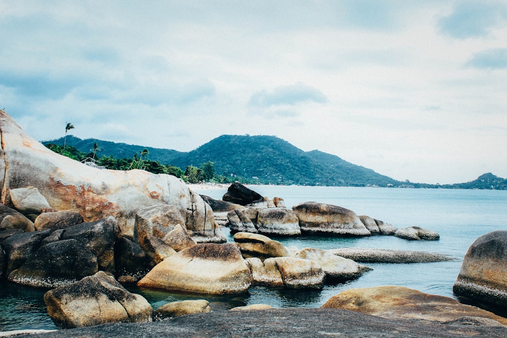 body of water hitting brown rocks