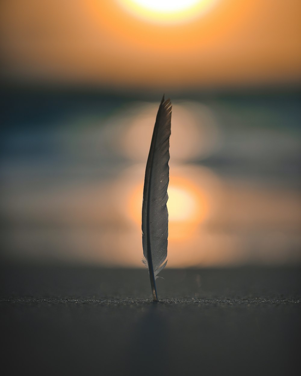 feather on sand in selective focus photography