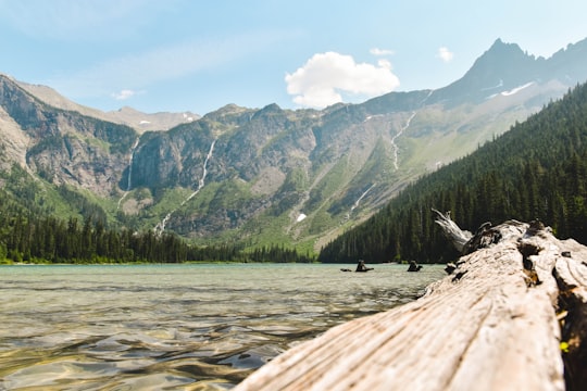 green trees covered mountain in Glacier National Park United States