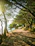 Sunlit coastal hiking trail with blue sky and birds flying overhead.