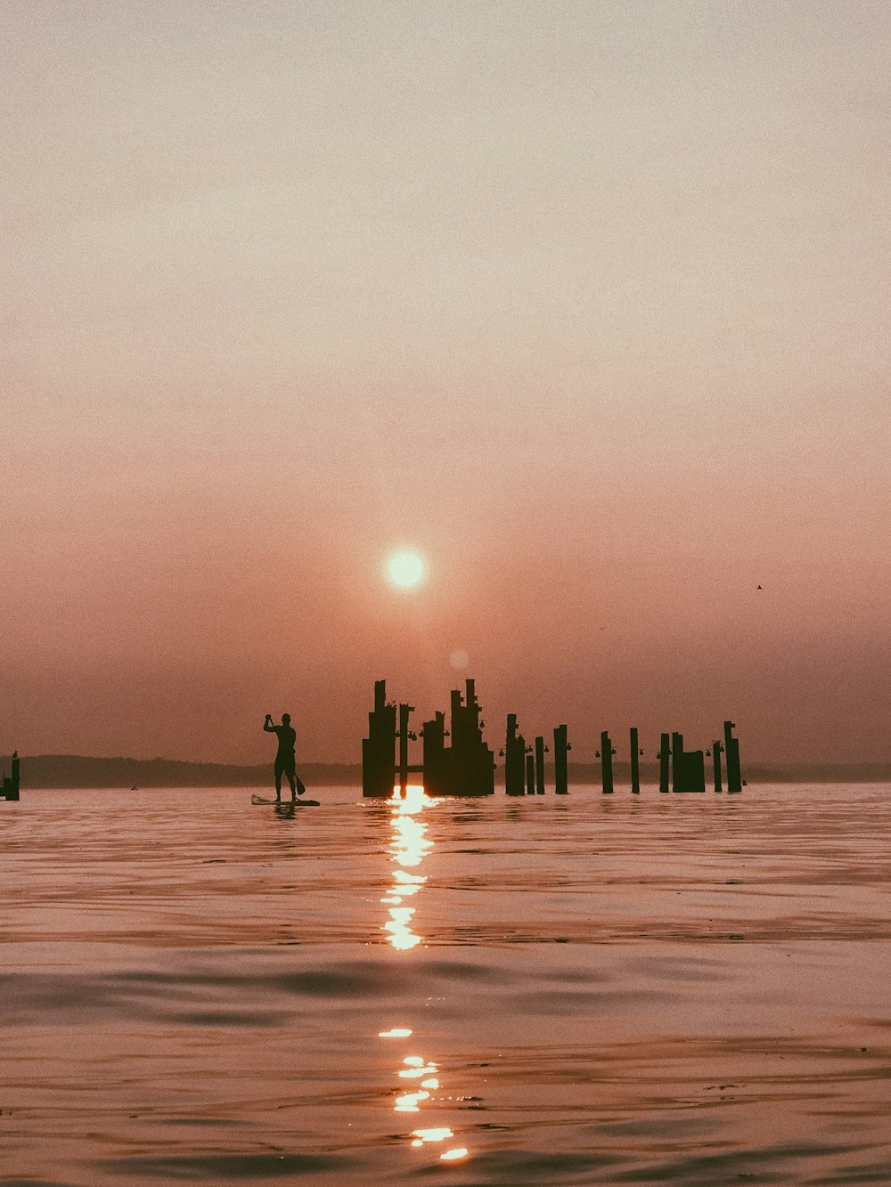 silhouette photo of person holding boat paddle surrounded by body of water