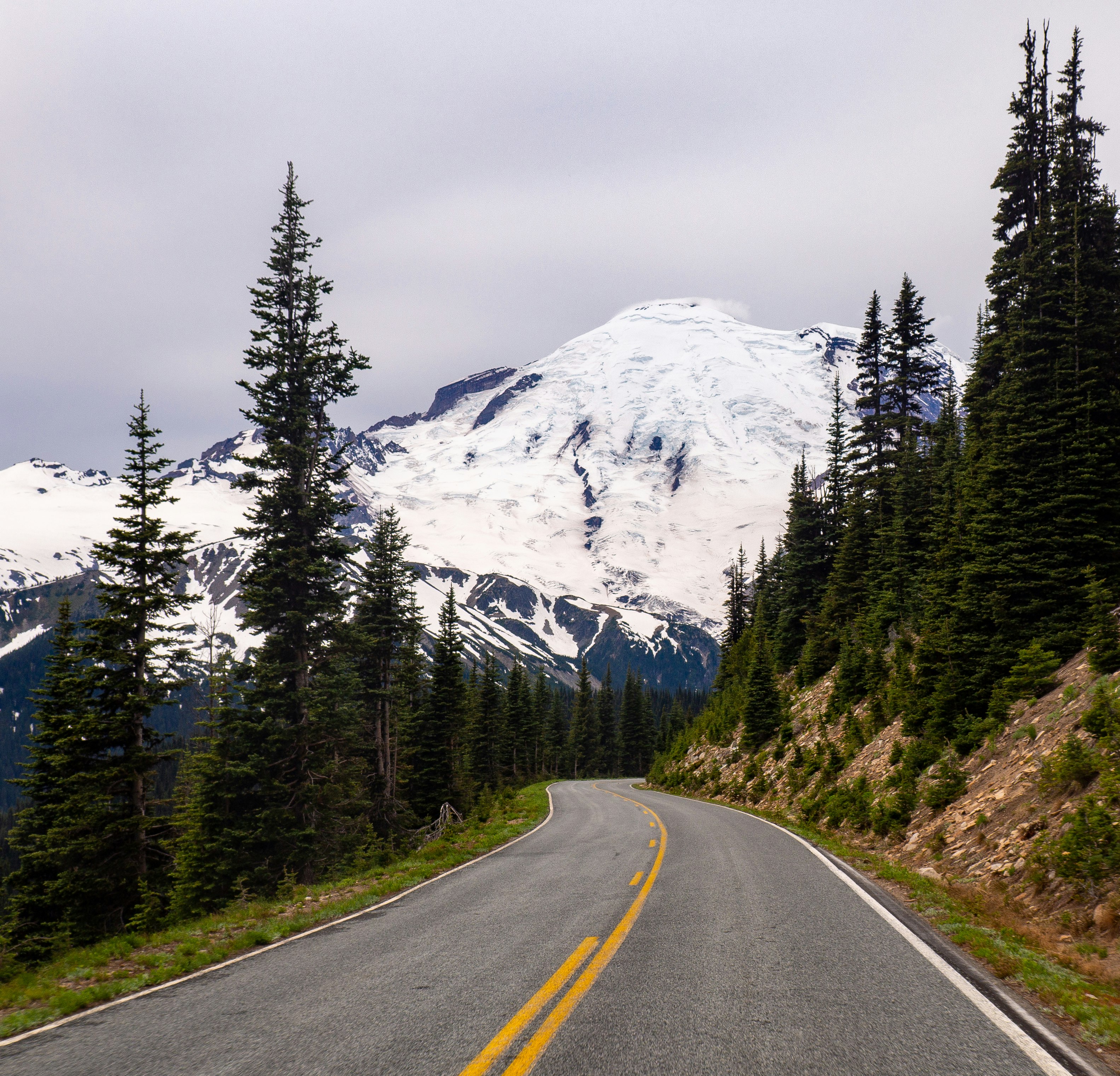 gray asphalt road near the green tree at daytime