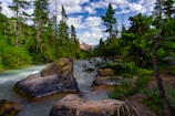 A serene mountainous landscape features a flowing river cutting through lush, dense forests. Large boulders are scattered along the riverbank, and in the background, towering snow-capped peaks are visible under a partly cloudy sky.