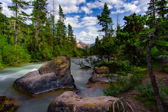 A serene mountainous landscape features a flowing river cutting through lush, dense forests. Large boulders are scattered along the riverbank, and in the background, towering snow-capped peaks are visible under a partly cloudy sky.
