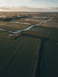 aerial photography of green grass field