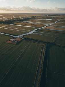 aerial photography of green grass field