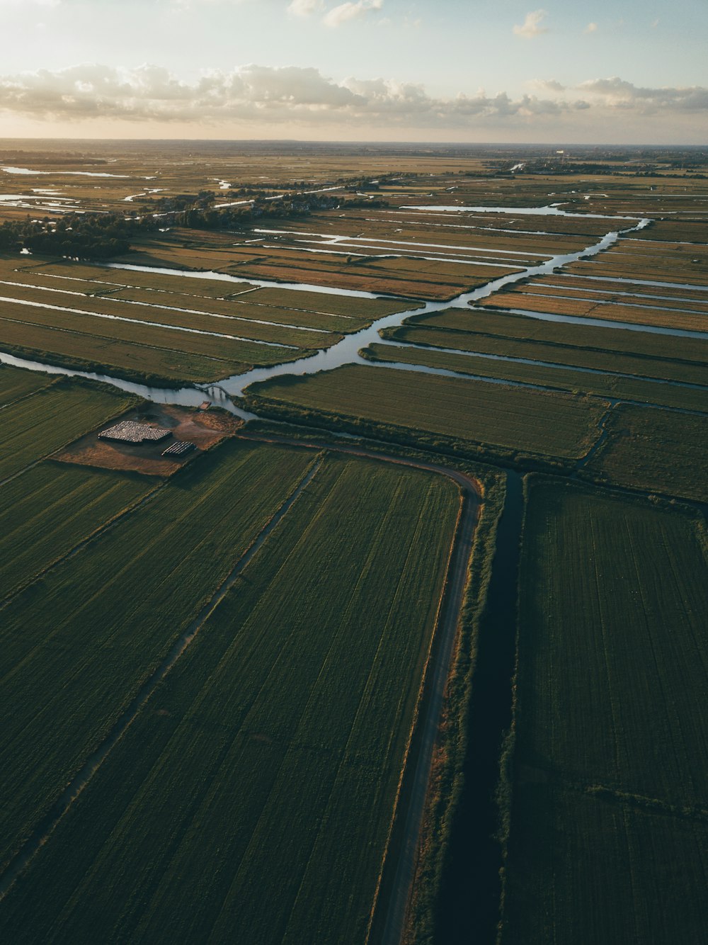 Photographie aérienne d’un champ d’herbe verte